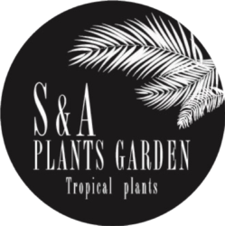 S&A PLANTS GARDEN